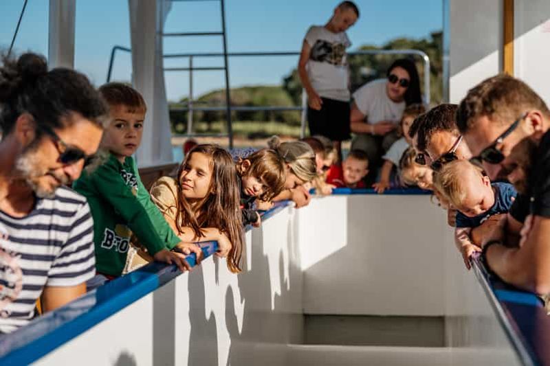 Billet Fažana : tour en bateau de verre du parc national de Brijuni