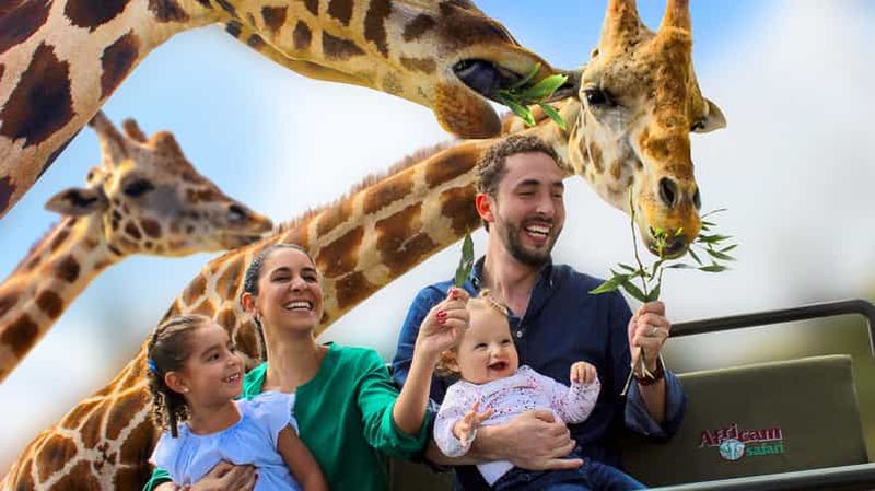 Billet Parc Safari Africam de Puebla, vivez une aventure inoubliable !