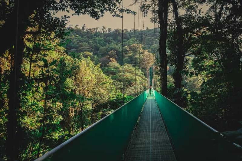 Billet Depuis Monteverde : Randonnée guidée sur le pont suspendu de Monteverde