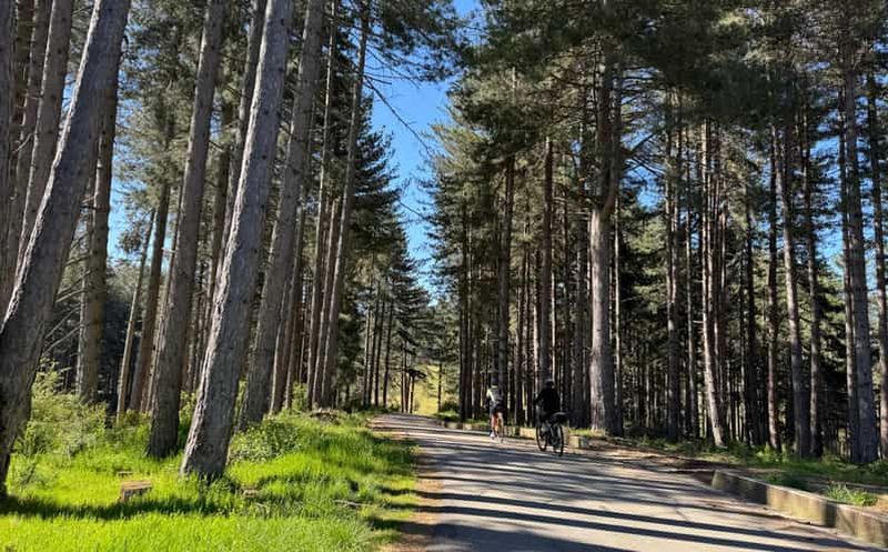 Billet Visite en vélo électrique à Sila et dégustation de produits typiques