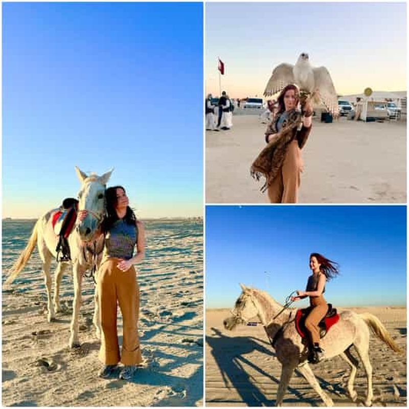 Billet Doha : aventure privée de 3 heures avec des chevaux arabes et un faucon