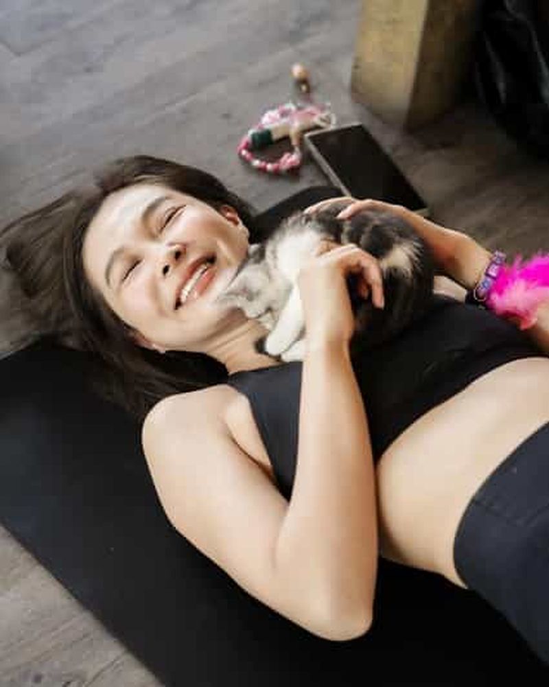 Billet Bangkok : séance de yoga avec des chatons et photos