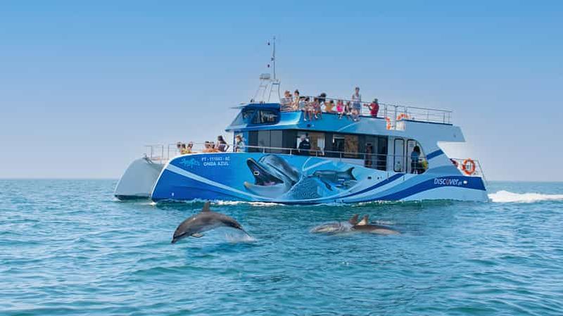 Billet Lagos : dauphins et grottes - catamaran