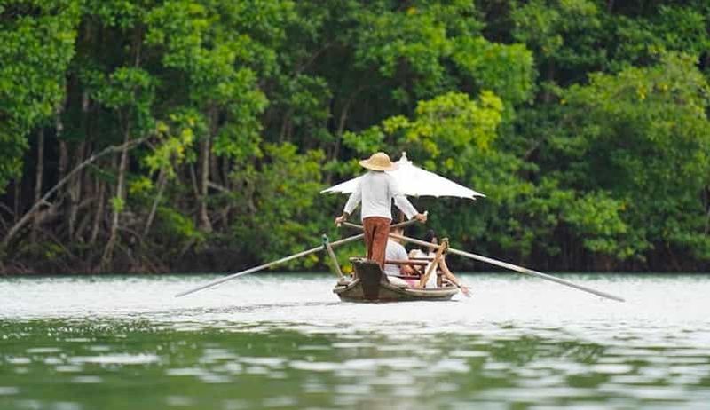 Billet Koh Chang : Excursion en télécabine dans la forêt de mangroves