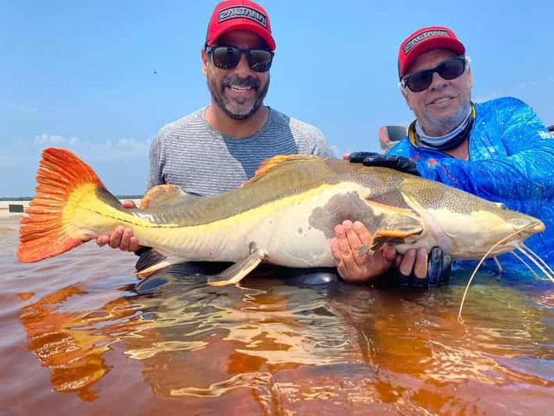 Billet Manaus : Une journée de pêche sur le Rio Negro