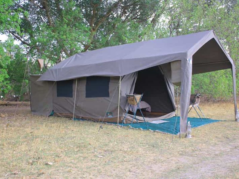 Billet Moremi et Khwai : Safari avec safari et excursion en bateau