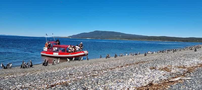 Billet Ushuaïa : sortie en bateau à Puerto Almanza et colonie de pingouins