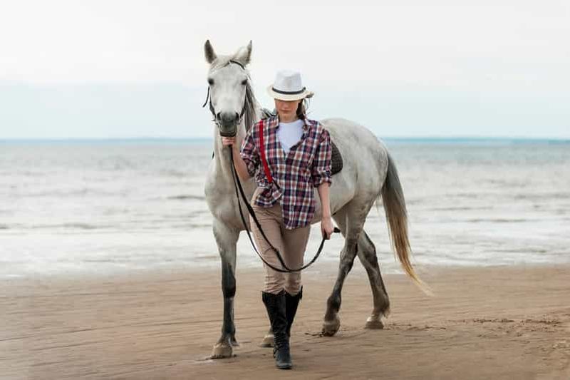 Billet Lanzarote : excursion à cheval vers la plage de Pozo