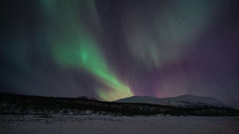 Billet Abisko : randonnée aux aurores boréales avec des chiots huskies