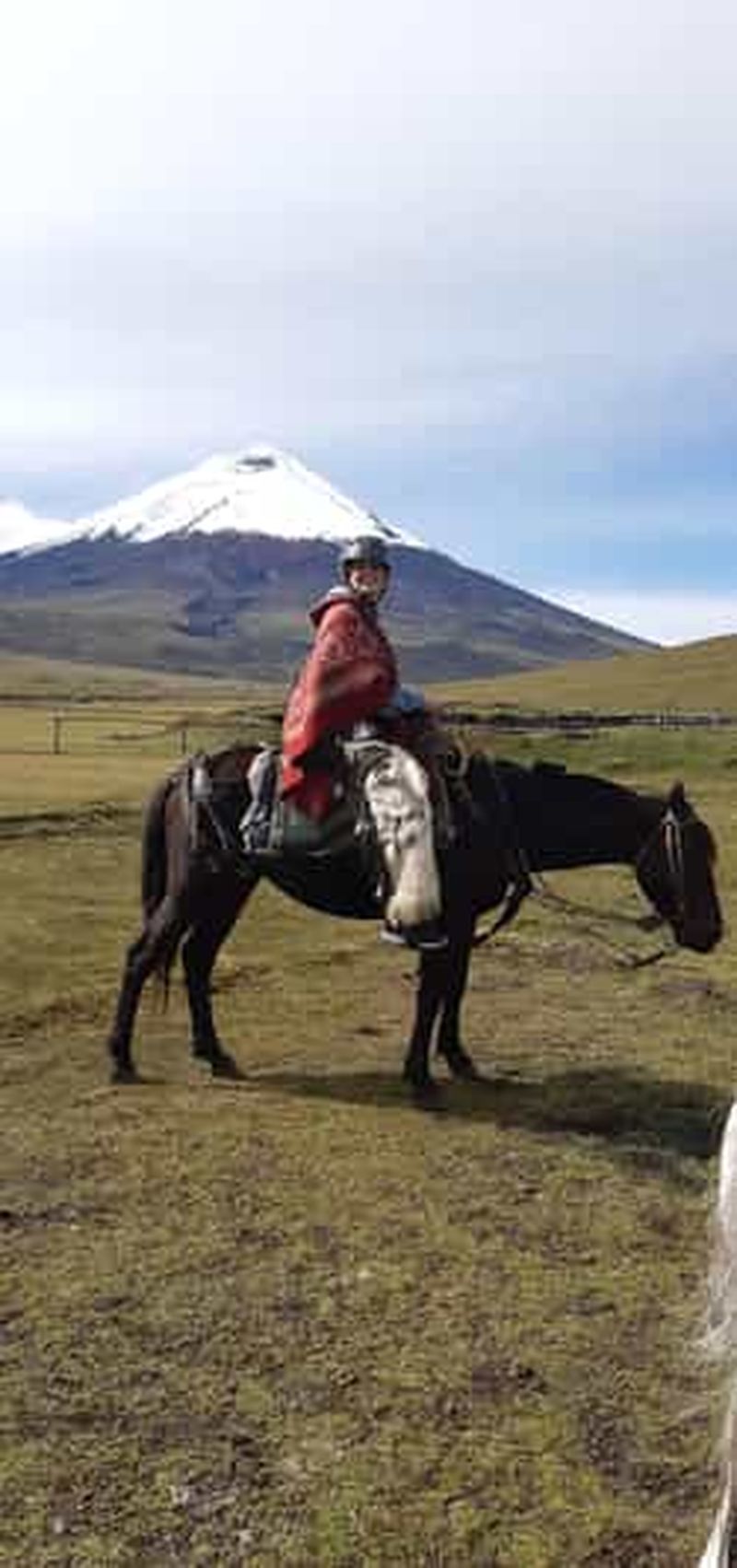 Billet Volcan Cotopaxi : randonnée à cheval d'une journée pour débutants