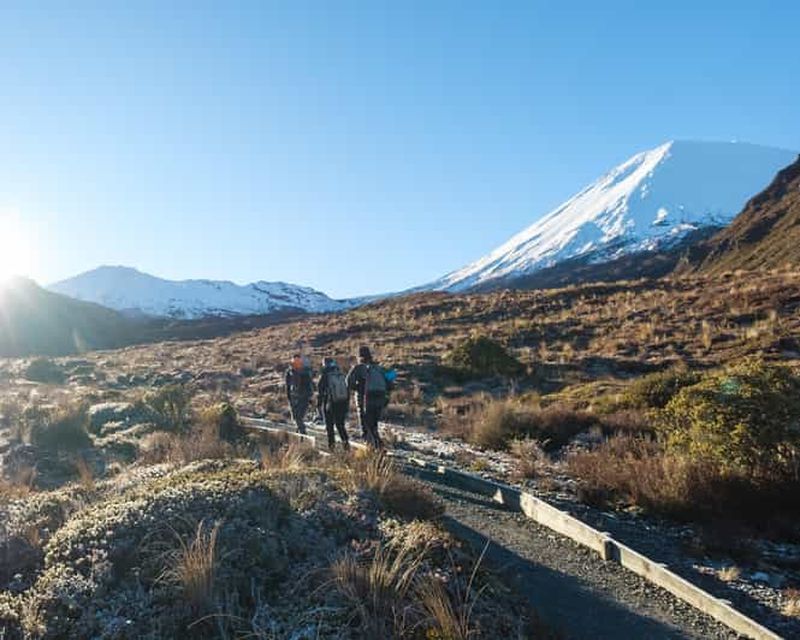 Billet Randonnée guidée d'une demi-journée en groupe dans les Alpes de Tongariro