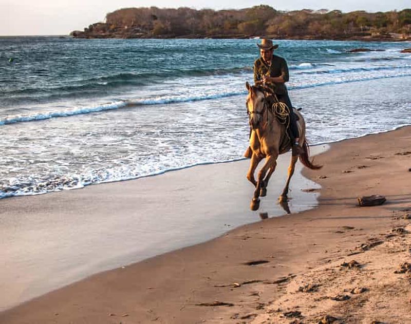 Billet Cartagena, Blue Apple Beach, randonnées à cheval