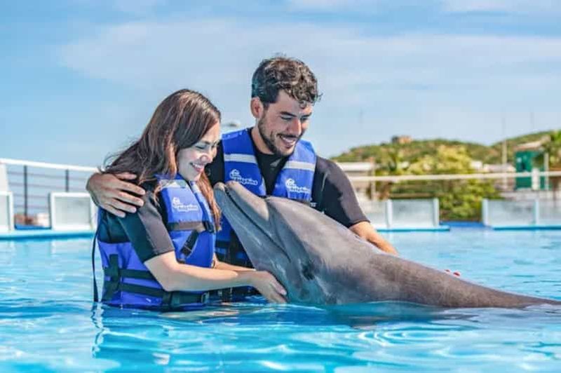 Billet Cabo San Lucas : Cours de natation pour dauphins avec un spécialiste marin