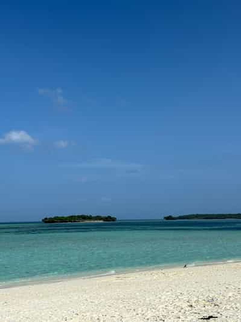 Billet Zanzibar : observation des dauphins sur l'île de Pungume - déjeuner barbecue