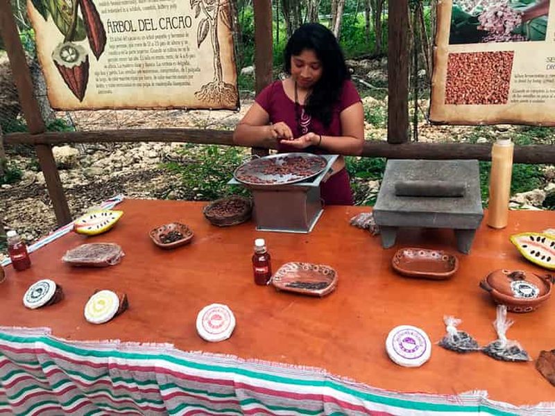 Billet Tulum: expérience du sanctuaire du chocolat et du miel avec déjeuner