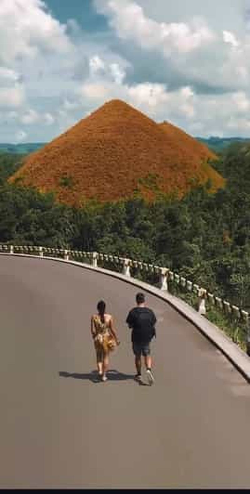 Billet Bohol : forfait de 3 jours avec requins-baleines et collines de chocolat