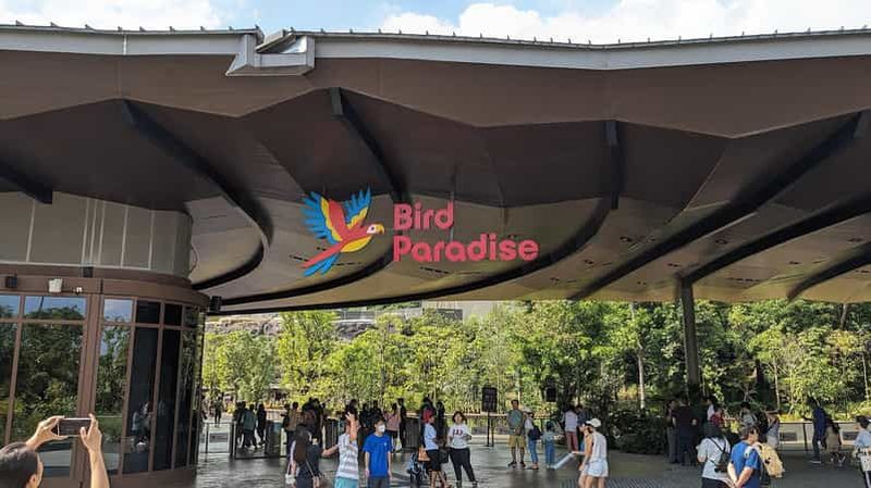 Billet Singapour : le paradis des oiseaux