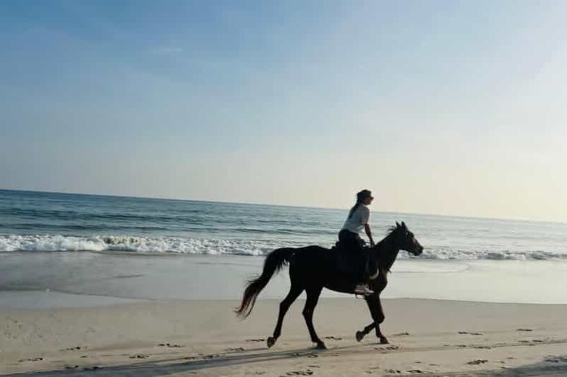 Billet Salalah : aventure à dos de chameau, à cheval et en quad sur la plage