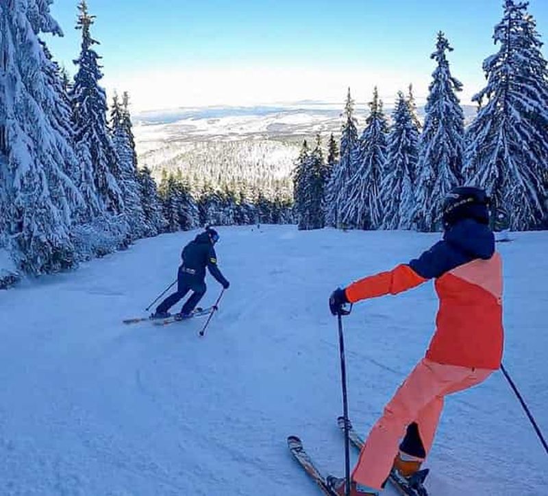Billet Borovets : 2 heures de cours de ski