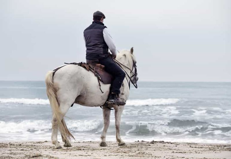 Billet Côte d'Aveiro : promenade à cheval avec vue sur la plage et sentiers forestiers
