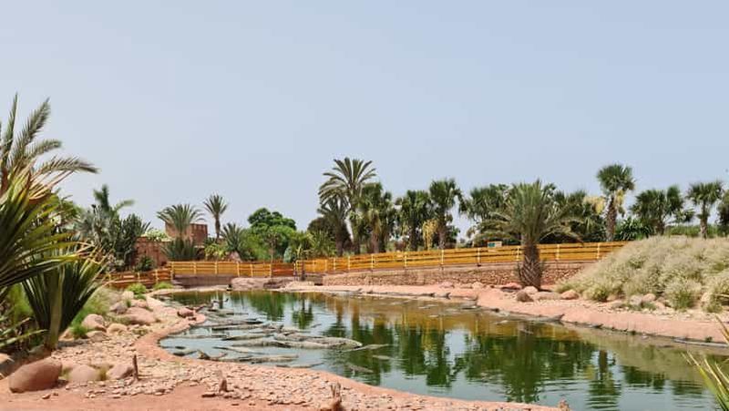 Billet Agadir : billet d'entrée au Crocoparc avec transferts, guide et thé