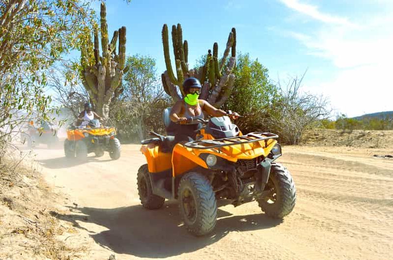 Billet Cabo San Lucas : Excursion en VTT sur la plage de Migriño et dans le désert