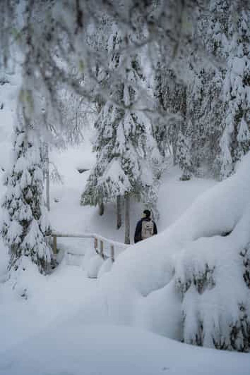 Billet Rovaniemi : visite des cascades gelées du canyon de Korouoma