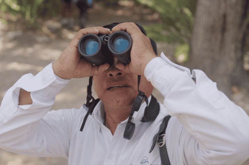 Billet Sian Ka'an : Observation des oiseaux et phytothérapie maya