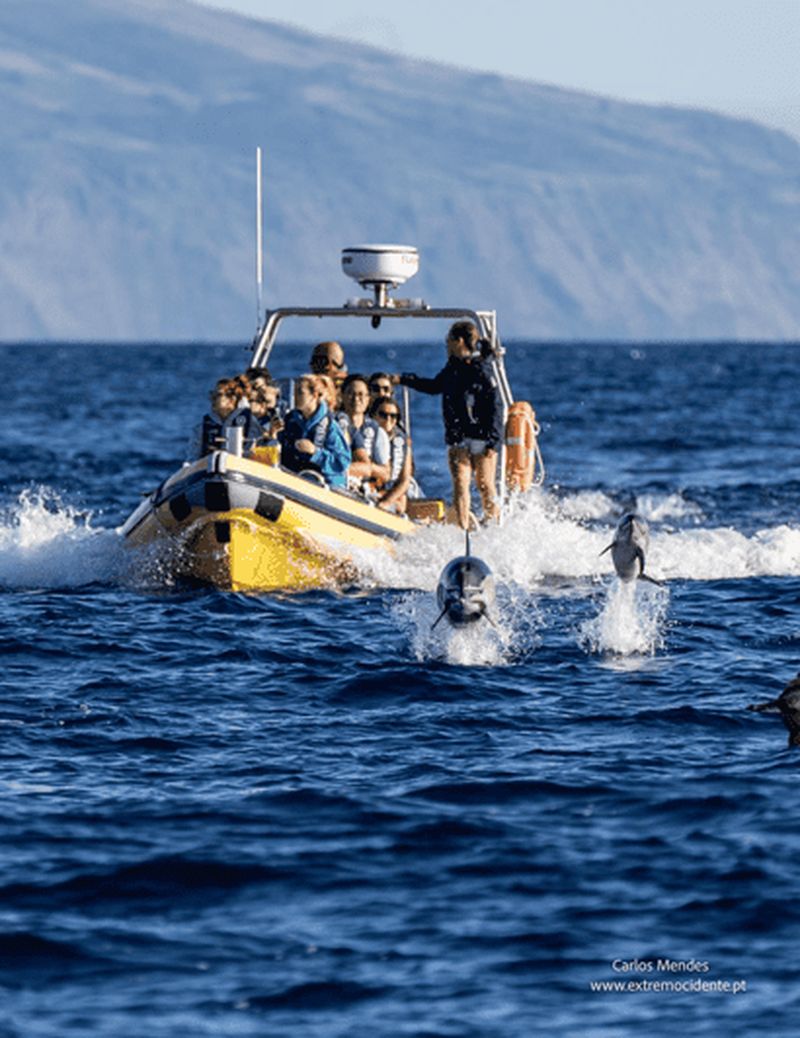 Billet EXCURSION EN BATEAU À CORVO