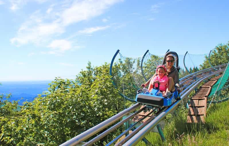 Billet Stresa : Alpyland Alpine Coaster Ride on Mount Mottarone