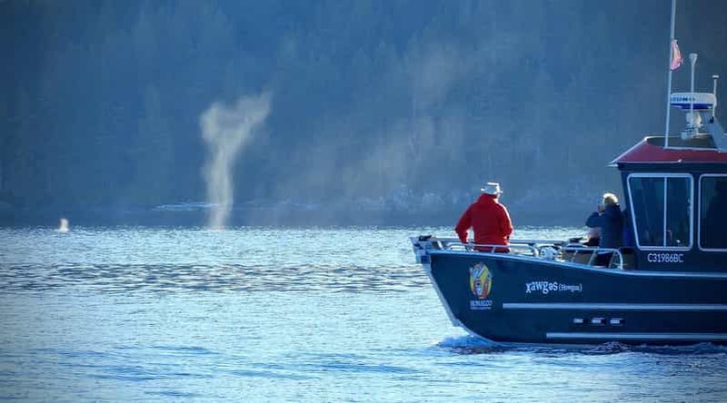Billet Campbell River : Aventure d'observation des baleines de la mer des Salish
