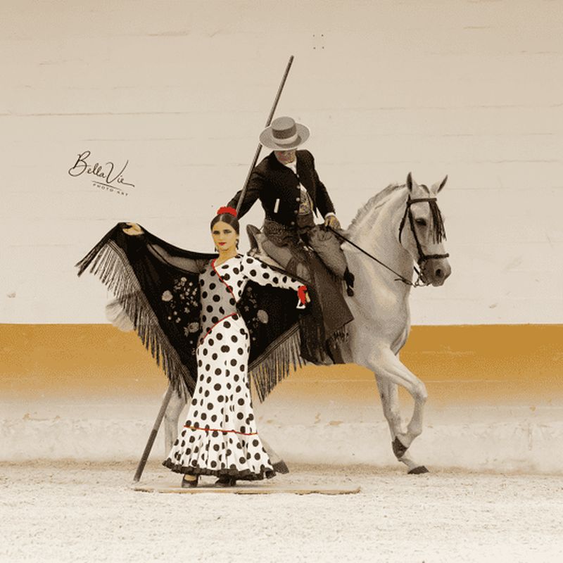 Billet Torremolinos : spectacle de chevaux espagnols et de flamenco