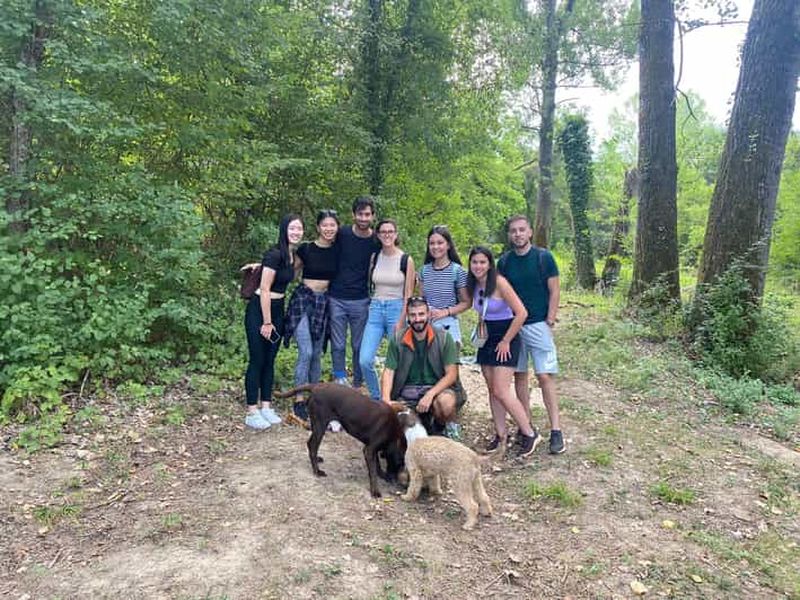 Billet Ljubljana : Visite guidée de la chasse aux truffes avec transferts à l'hôtel