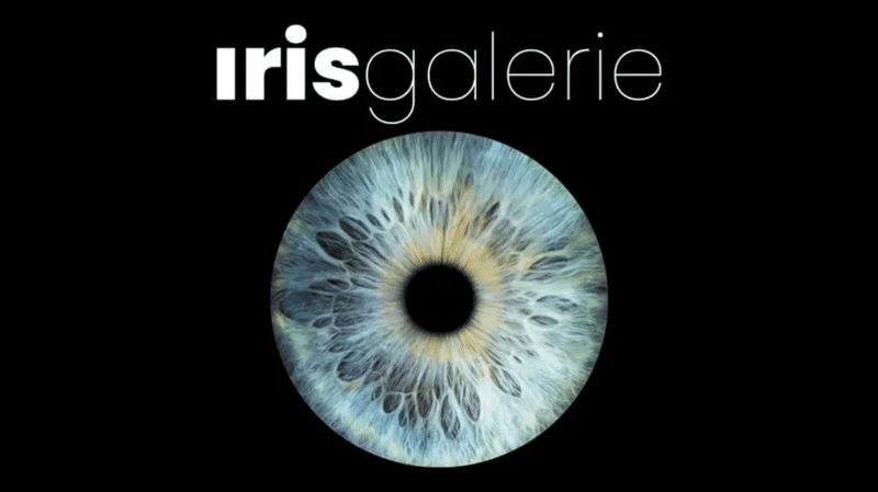 Billet Tromsø : révélez votre expérience oculaire à la galerie Iris