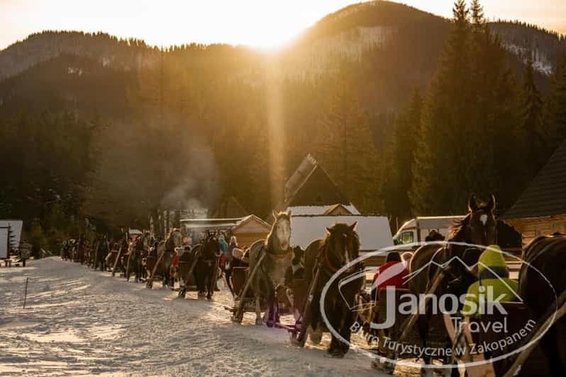 Billet Zakopane : promenade en traîneau dans la vallée de Chochołowska avec feu de camp