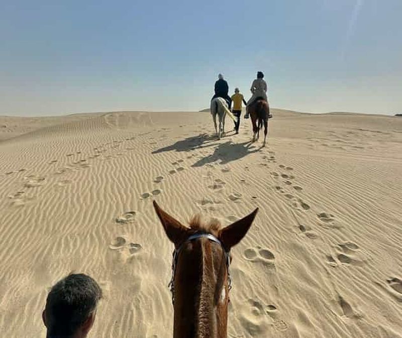Billet Doha : visite guidée à dos de cheval arabe et horizon du désert