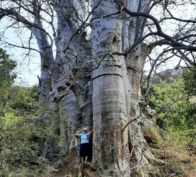 Billet Praia : baobab mystérieux, vallée verte et randonnée dans la vieille ville