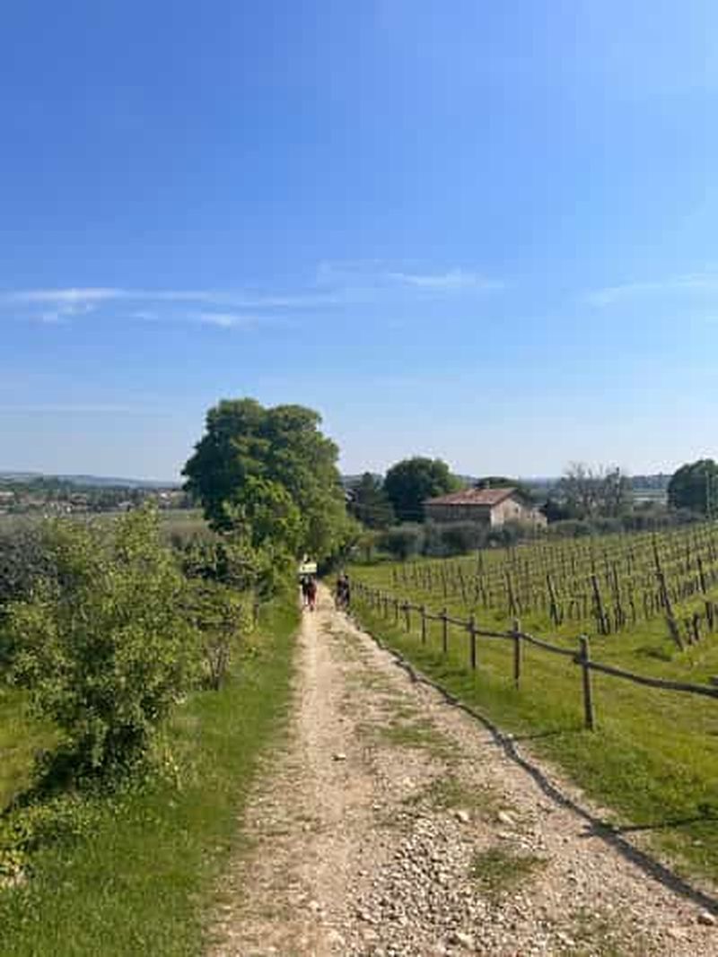 Billet Vérone : Trekking dans le Vajo Borago, un paradis secret