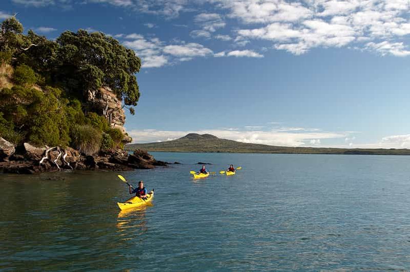 Billet Auckland : Visite d'une demi-journée en kayak de mer sur l'île de Motukorea