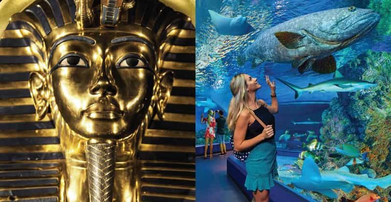 Billet Cairns : billet d'entrée pour l'aquarium et la tombe des pharaons