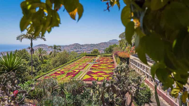 Billet Jardin botanique Tuk Tuk - Île de Madère