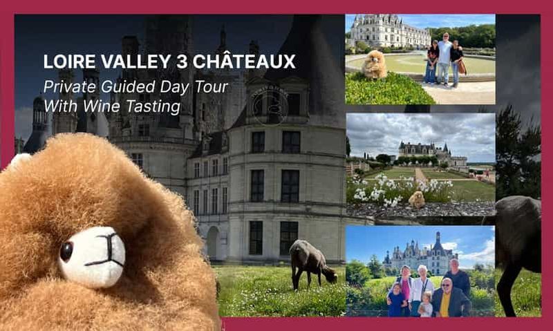 Billet Excursion d'une journée dans les châteaux de la Loire et dégustation de vins