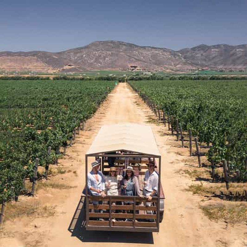 Billet Valle de Guadalupe : Visite du vignoble et dégustation de vin à Cart