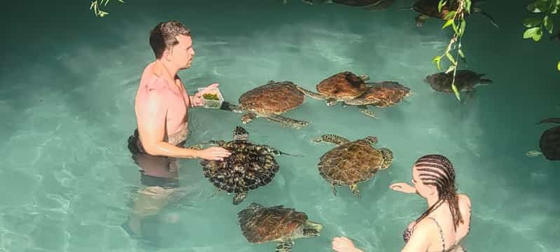 Billet Zanzibar : grotte de Salaam, forêt de Jozani et restaurant The Rock