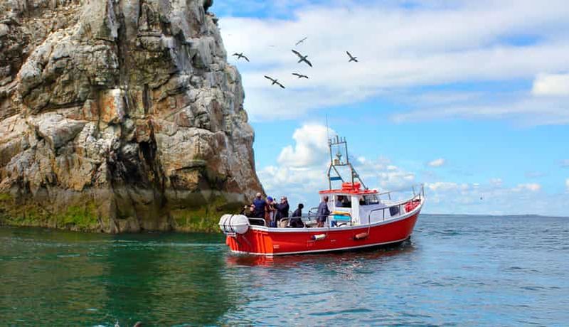 Billet Dublin : Tour en bateau sur la côte de Howth