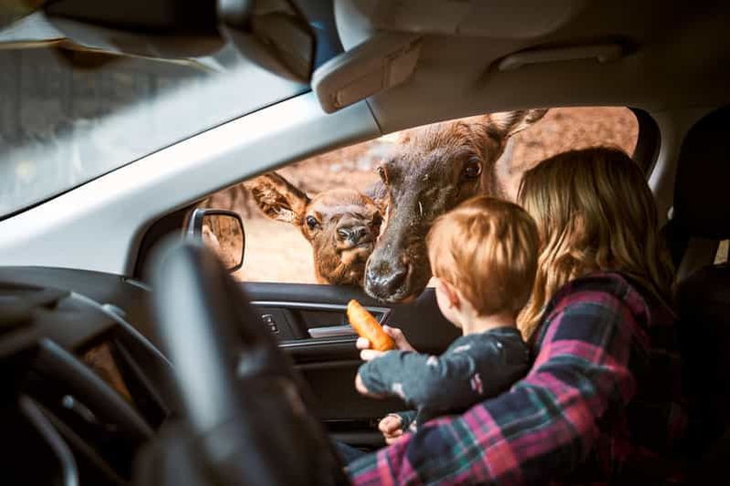 Billet Montebello, QC : Admission générale au Parc Omega