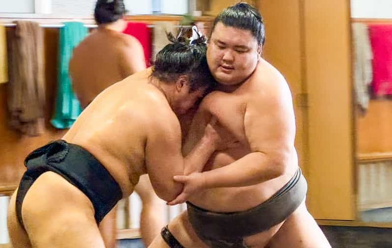 Billet Tokyo : entraînement matinal de sumo avec des journalistes. Il ne s'agit pas d'un faux spectacle