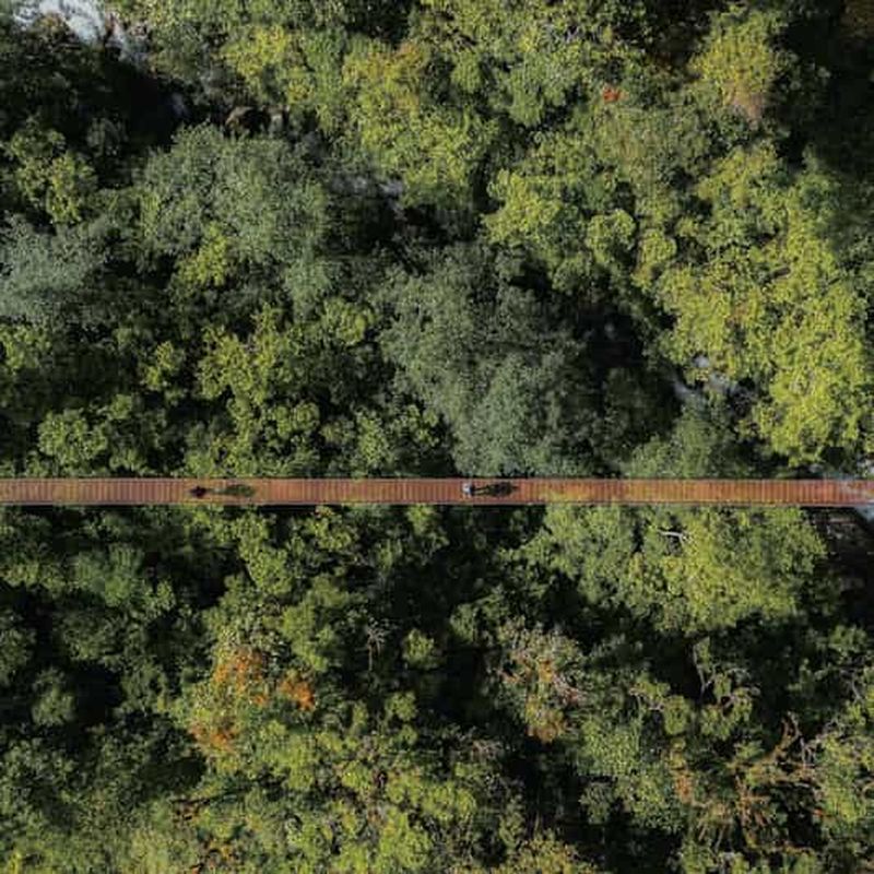 Billet Boquete : Expérience des ponts suspendus et randonnée, Chiriquí