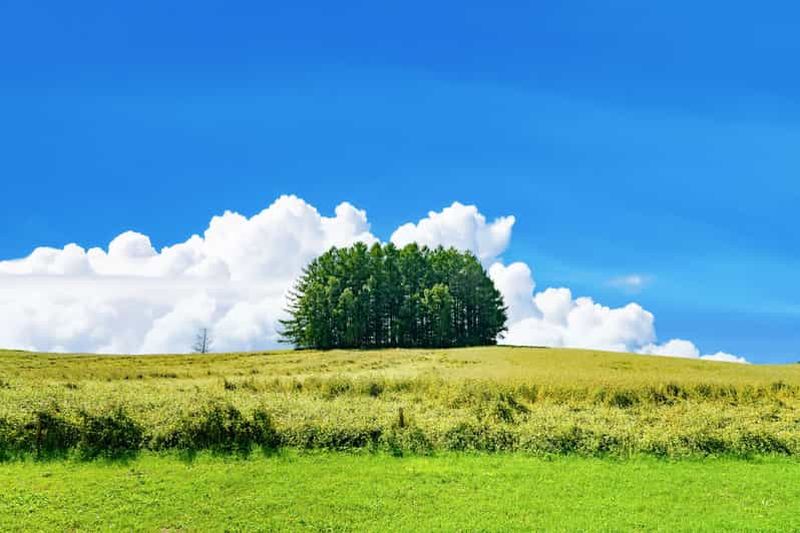 Billet Sapporo : visite d'une journée des 5 sites incontournables de Biei (départ tardif)