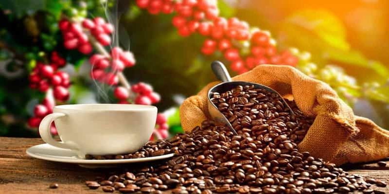 Billet Cusco : Visite du chocolat à Huayopata |Privé|